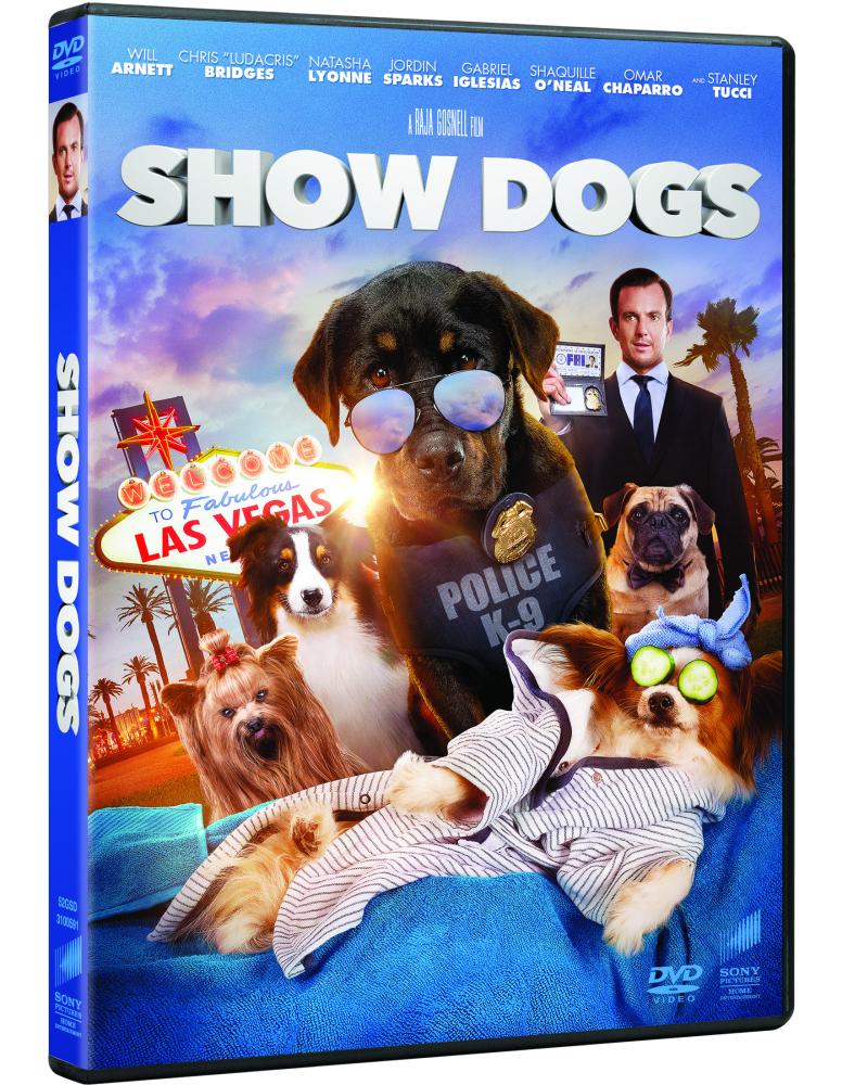 Show dogs