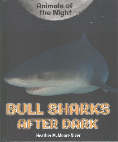 Bull Sharks After Dark