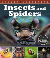 Insects and spiders