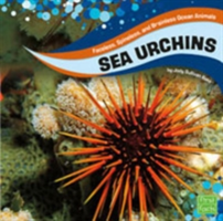 Sea urchins