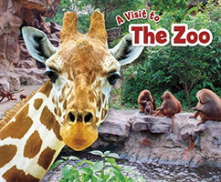 Zoo