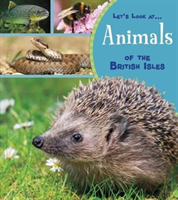 Animals of the british isles