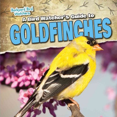 A Bird Watcher's Guide to Goldfinches