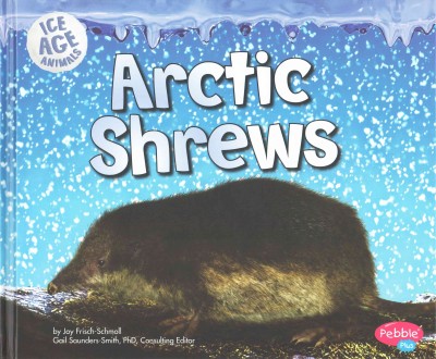 Arctic Shrews