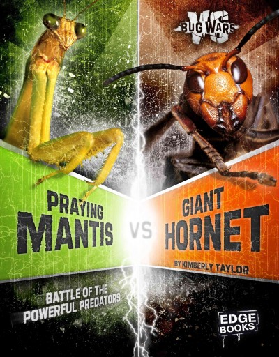 Praying Mantis vs. Giant Hornet