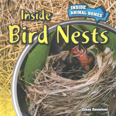 Inside Bird Nests