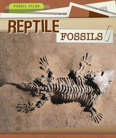 Reptile Fossils