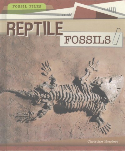 Reptile Fossils