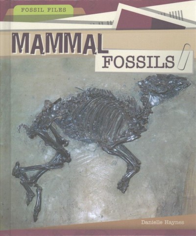 Mammal Fossils