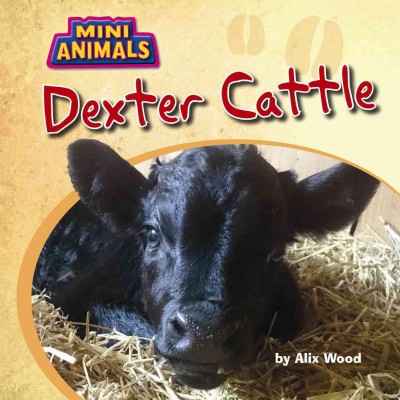 Dexter Cattle