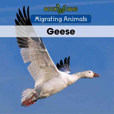 Geese