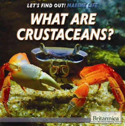 What Are Crustaceans?