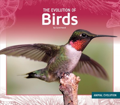 The Evolution of Birds