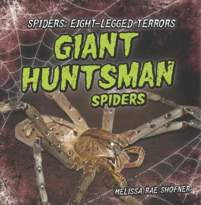 Giant Huntsman Spiders