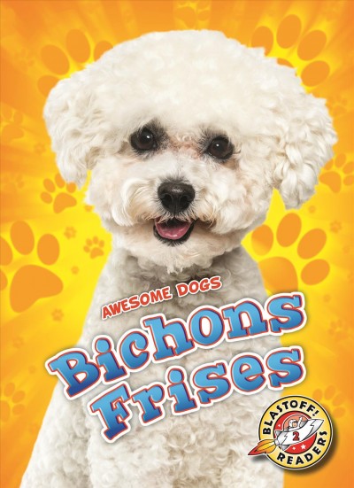Bichons Frises
