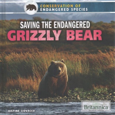 Saving the Endangered Grizzly Bear