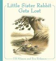 Little sister rabbit gets lost