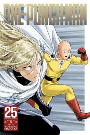 One-punch man (25)