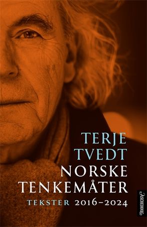 Norske tenkemåter : tekster 2016-2024