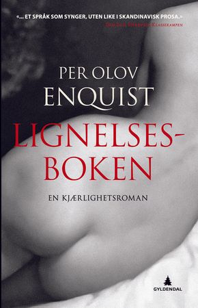Lignelsesboken : en kjærlighetsroman