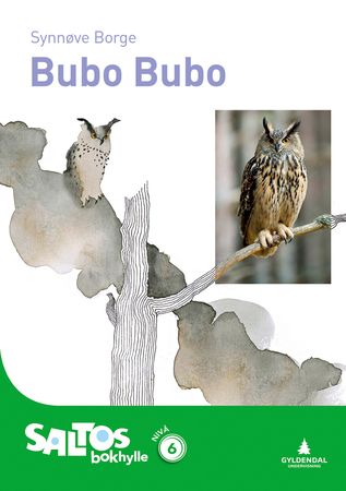 Bubo Bubo : nivå 6