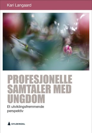 Profesjonelle samtaler med ungdom : et utviklingsfremmende perspektiv