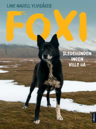 Foxi : sledehunden ingen ville ha