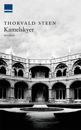 Kamelskyer : roman