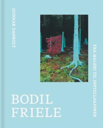 Bodil Friele : fra maleri til installasjoner