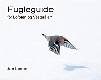 Guide til fuglelivet i Lofoten og Vesterålen