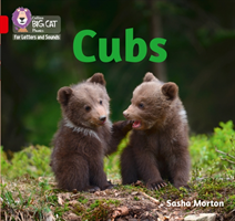 Cubs and pups