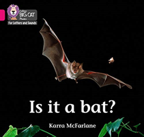 Is it a bat?