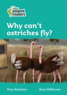 Level 3 - why can't ostriches fly?