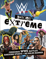 Wwe beyond extreme