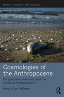 Cosmologies of the anthropocene