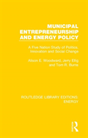 Municipal entrepreneurship and energy policy