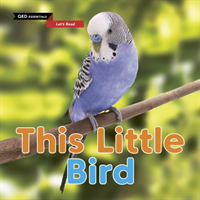 Let's read: this little bird