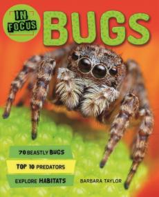 In Focus: Bugs