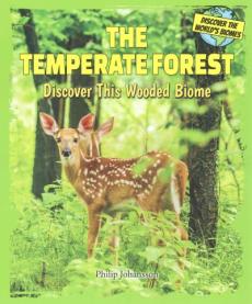 The Temperate Forest