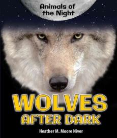 Wolves After Dark