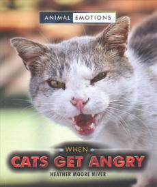 When Cats Get Angry