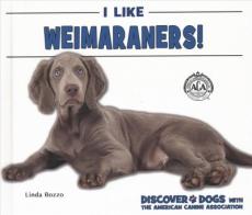 I Like Weimaraners!