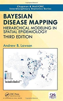 Bayesian disease mapping