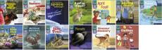 Read write inc. phonics book bag books: set 7 grey: non-fiction pack of 130