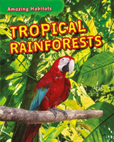 Tropical rainforests