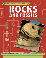 Rocks and fossils