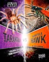 Tarantula vs tarantula hawk
