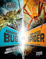 Assassin bug vs ogre-faced spider