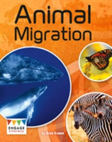 Animal migration