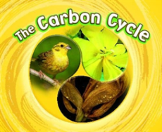 Carbon cycle